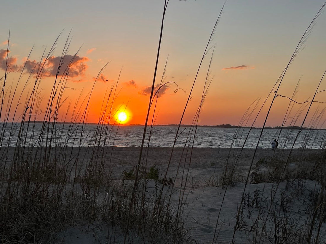 Edisto Beach, SC: Where the Lowcountry Slows You Down
